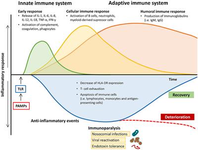 Sepsis—Pathophysiology and Therapeutic Concepts